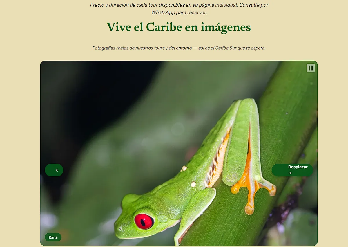 Galería de fotografías reales de los tours